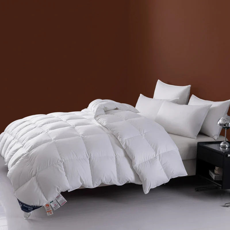 Luxueuse Couette en Pur Duvet