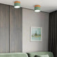 VibrantGlow - Petite lampe de plafond au style élégant