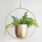 FloraFrame | Support de plantes mural moderne et minimaliste