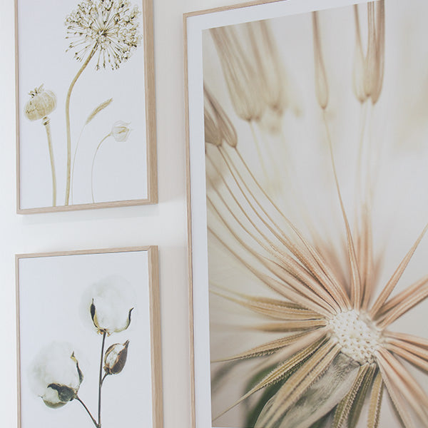 Cadre Fleurs