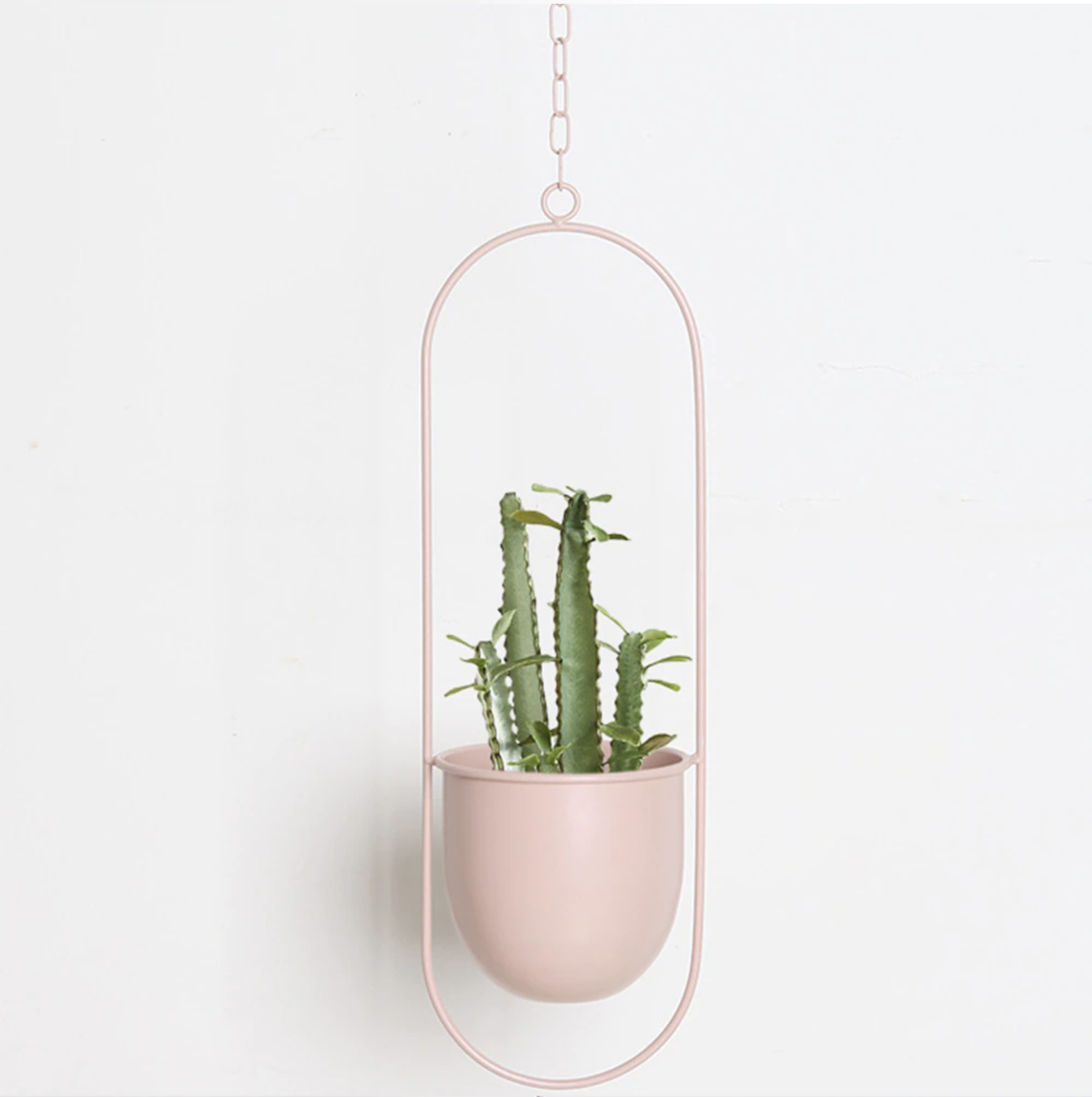 FloraFrame | Support de plantes mural moderne et minimaliste