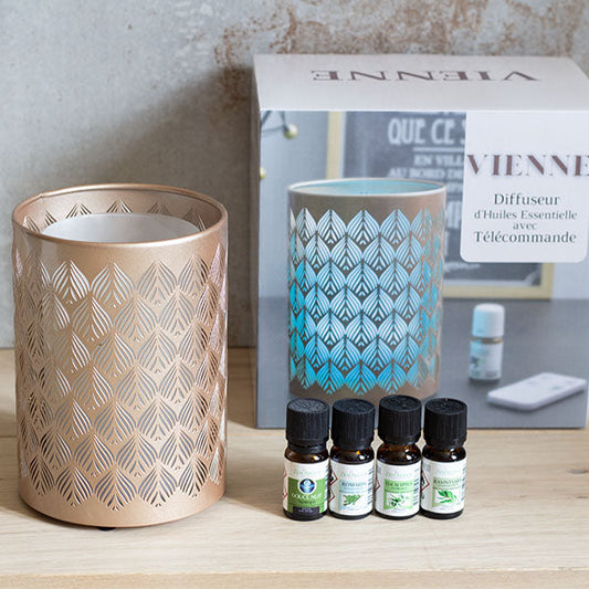 Lot diffuseur Vienne +4 huiles essentielles anti hiver