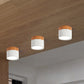 VibrantGlow - Petite lampe de plafond au style élégant