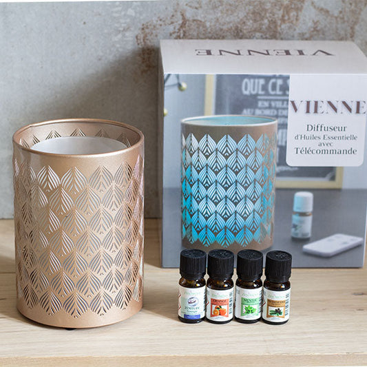 Lot diffuseur Vienne+4 huiles essentielles revigorantes