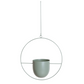 FloraFrame | Support de plantes mural moderne et minimaliste