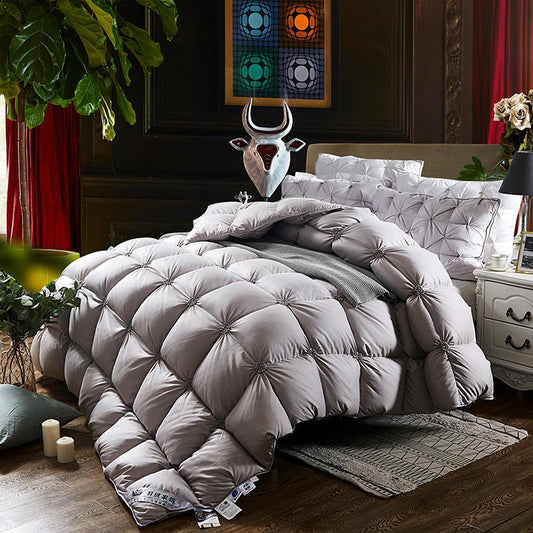 Luxueuse Couette en Pur Duvet