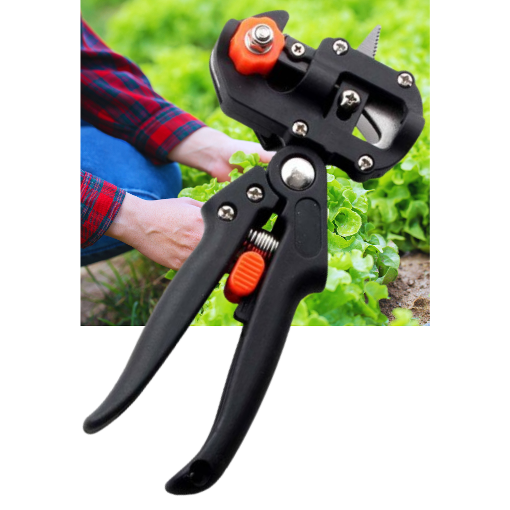 Sécateur de jardin et outil de greffage
