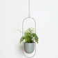 FloraFrame | Support de plantes mural moderne et minimaliste