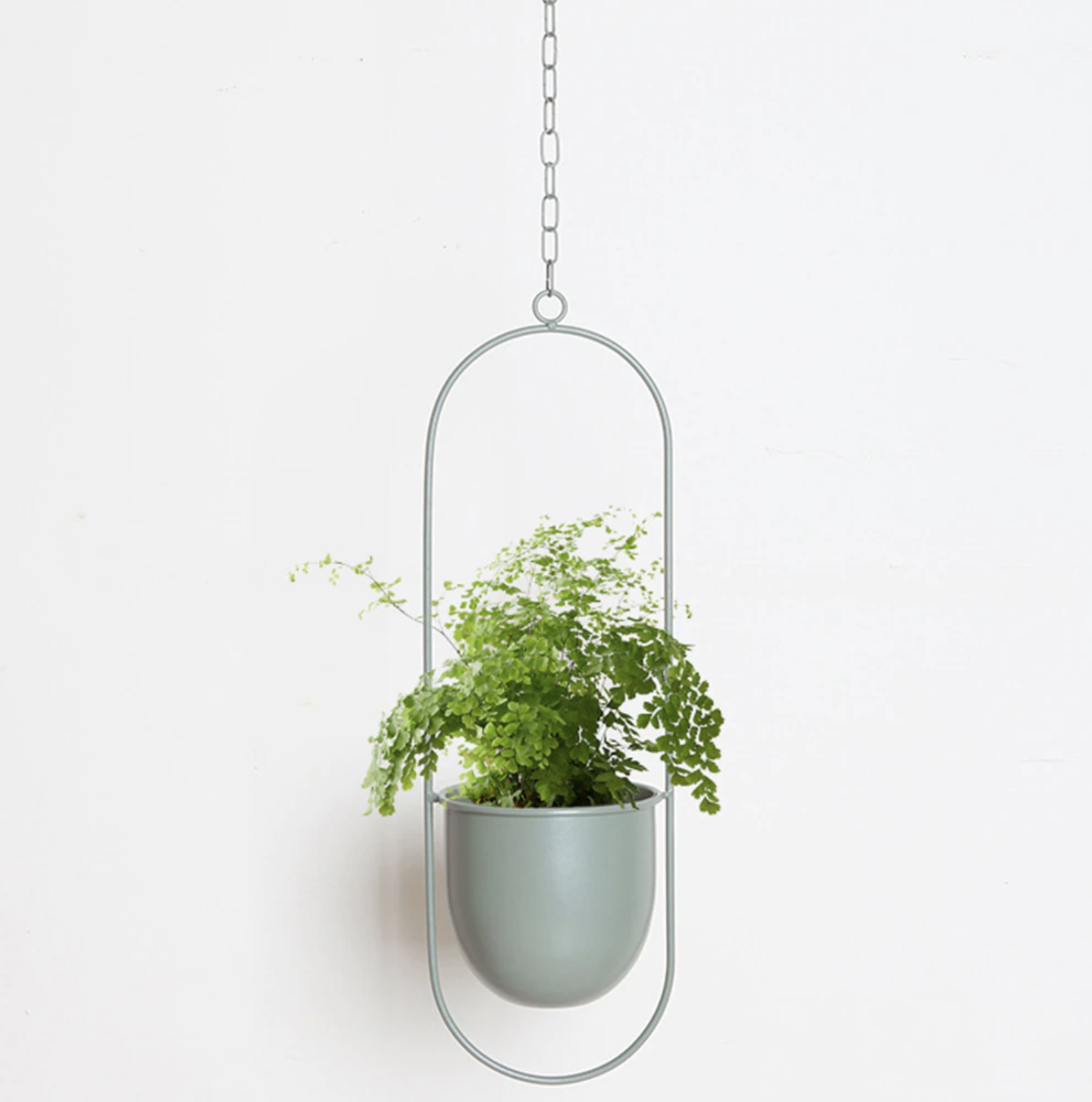 FloraFrame | Support de plantes mural moderne et minimaliste