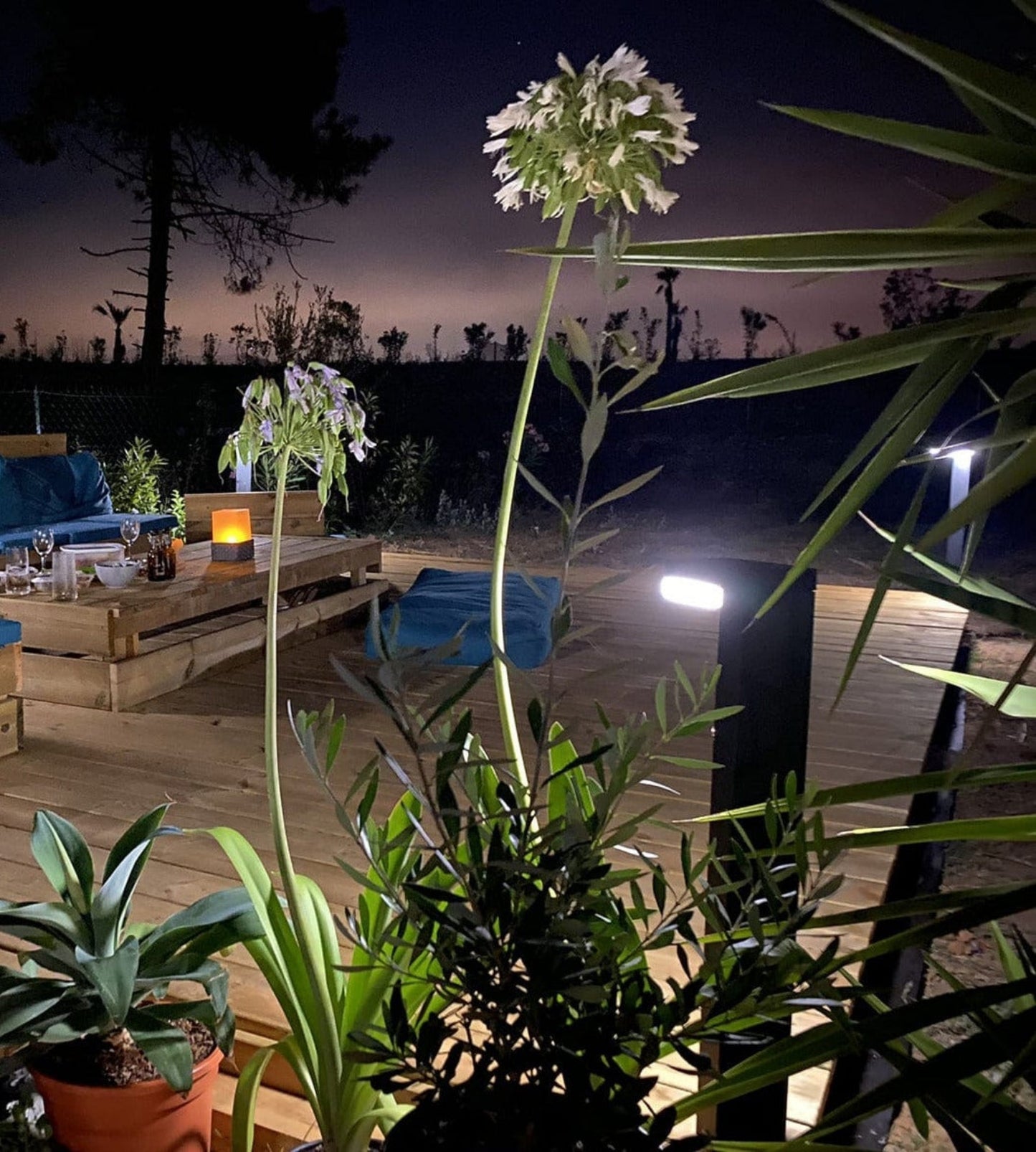 Borne Led Solaire VENUS - Détecteur de mouvements - 3 modes d'éclairage 100 à 1000 lumens