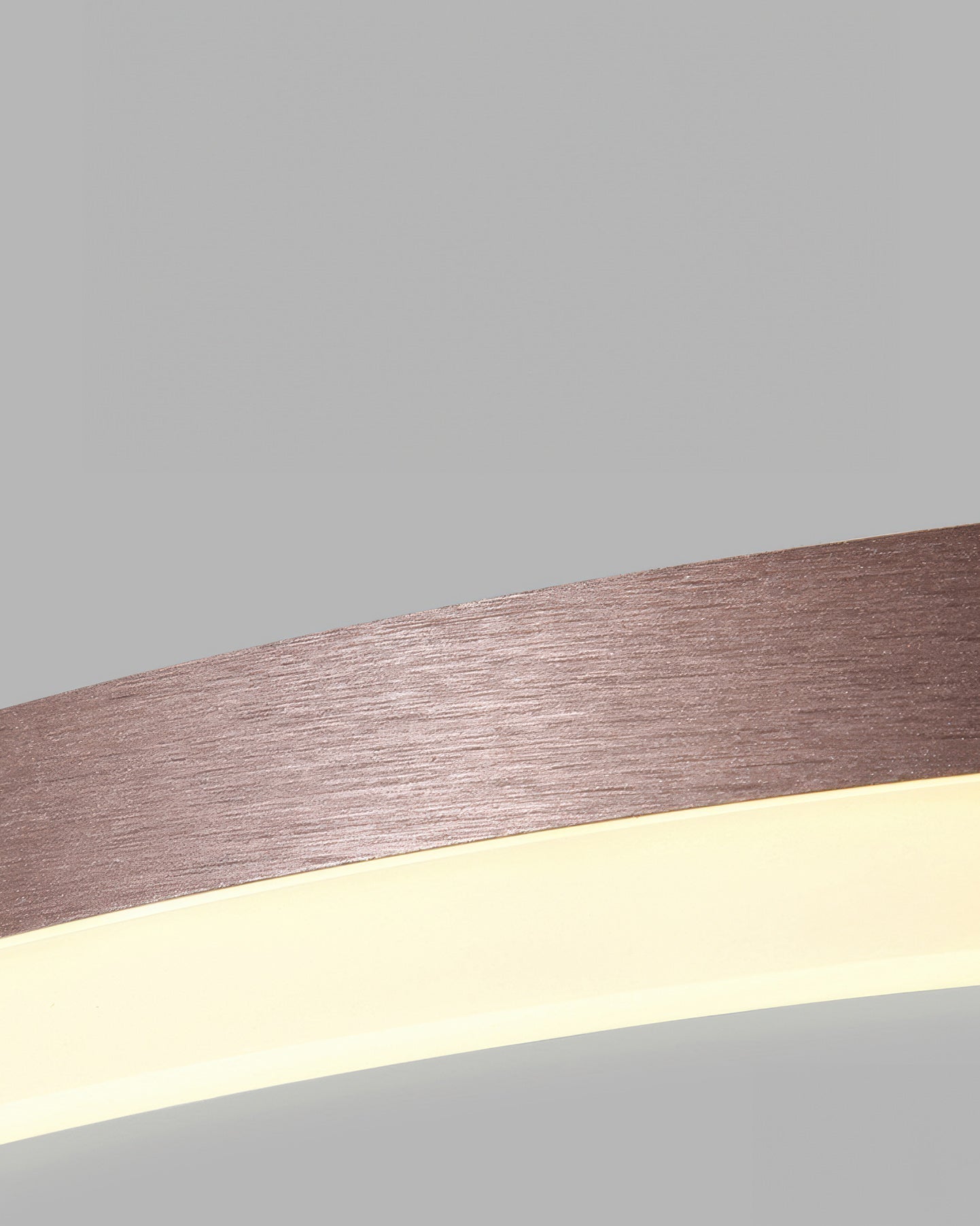 Plafonnier Éléphant en Anneau LED - Luminaire Moderne Design Géométrique avec Éclairage Économe en Énergie