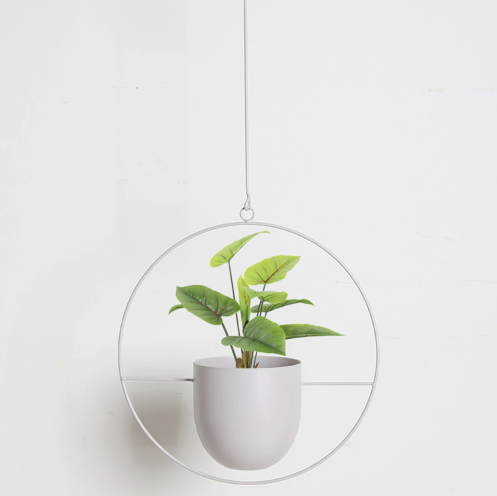 FloraFrame | Support de plantes mural moderne et minimaliste