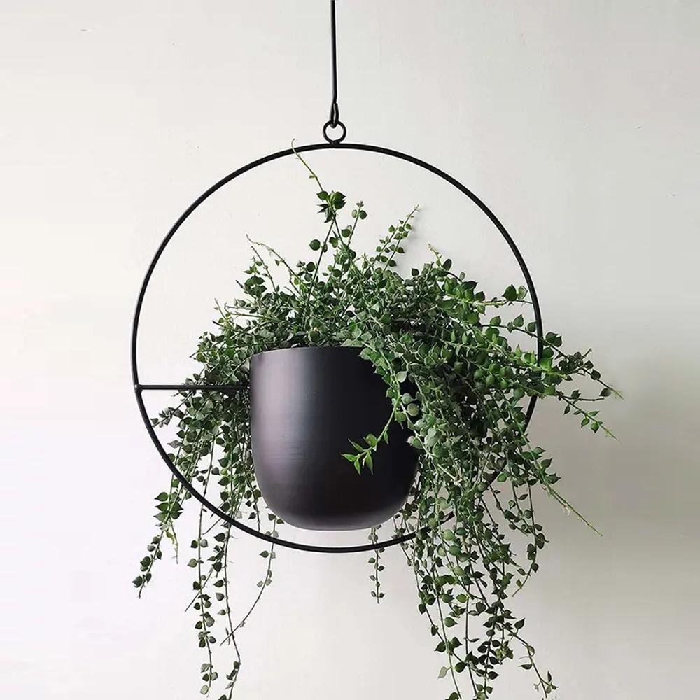 FloraFrame | Support de plantes mural moderne et minimaliste