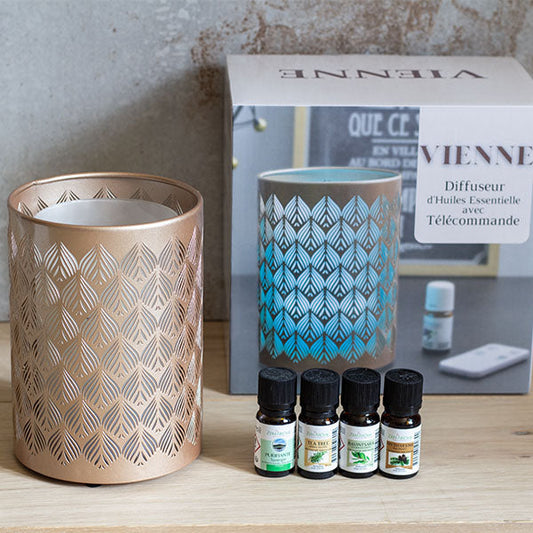 Lot diffuseur Vienne+4 huiles essentielles purifiantes