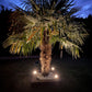 Kit de 3 spots led encastrés solaires Inox KIT3–SUN28 - 3 Câbles de 2m - 100 lumens / spot