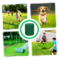 Tapis de semences de gazon vert à fixation rapide